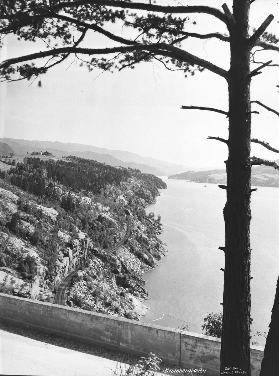 Anders Beer Wilse, Prot: Bratsbergbanen langs Hitterdalsvand