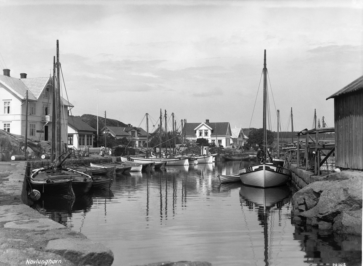Anders Beer Wilse, Prot: Nevlunghavn, fiskerhavnen