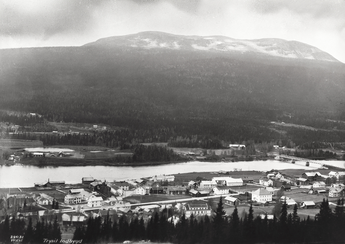 Anders Beer Wilse, Prot: Trysil - Indbygd