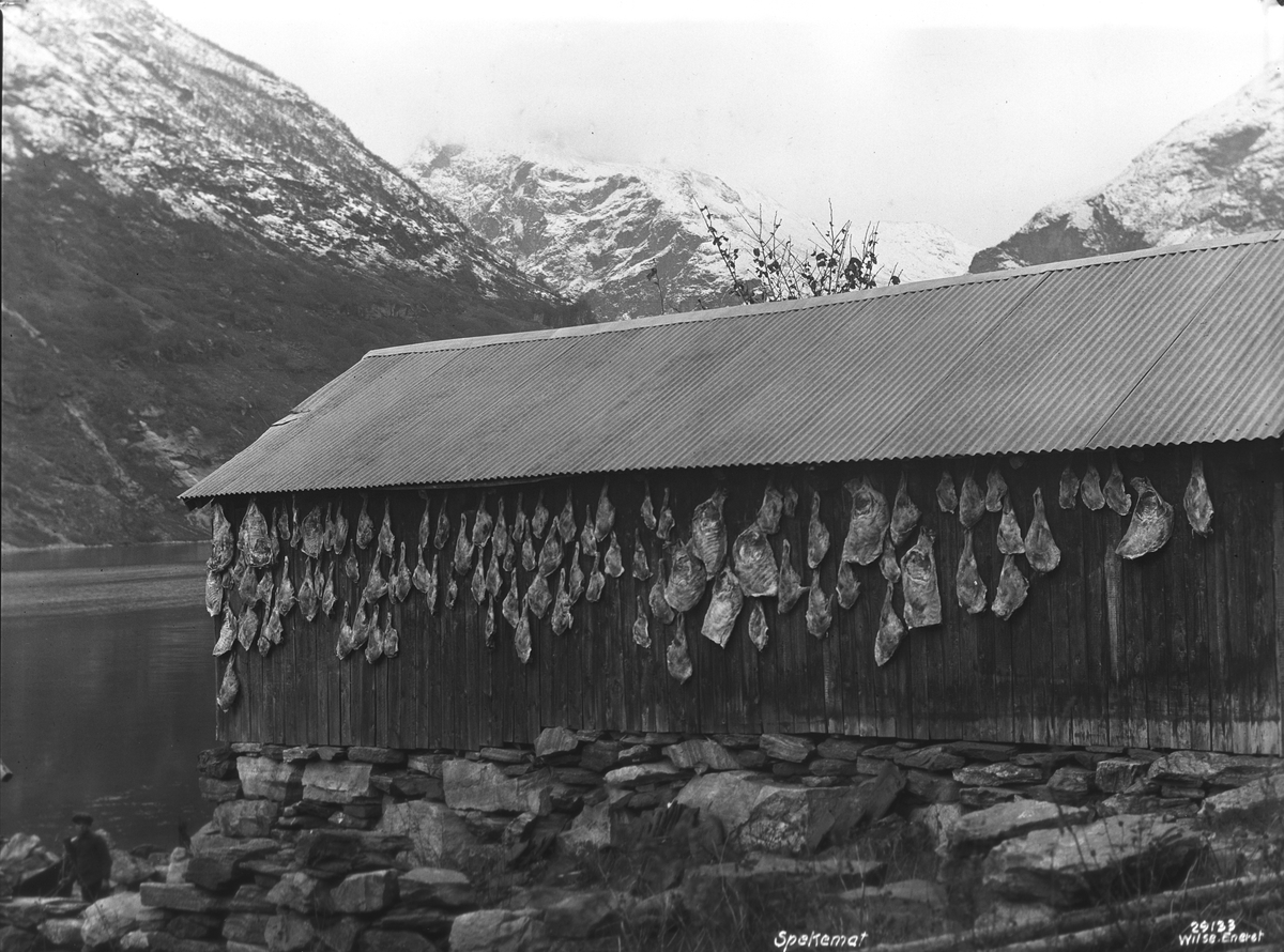 Anders Beer Wilse, Prot: Spekemat
