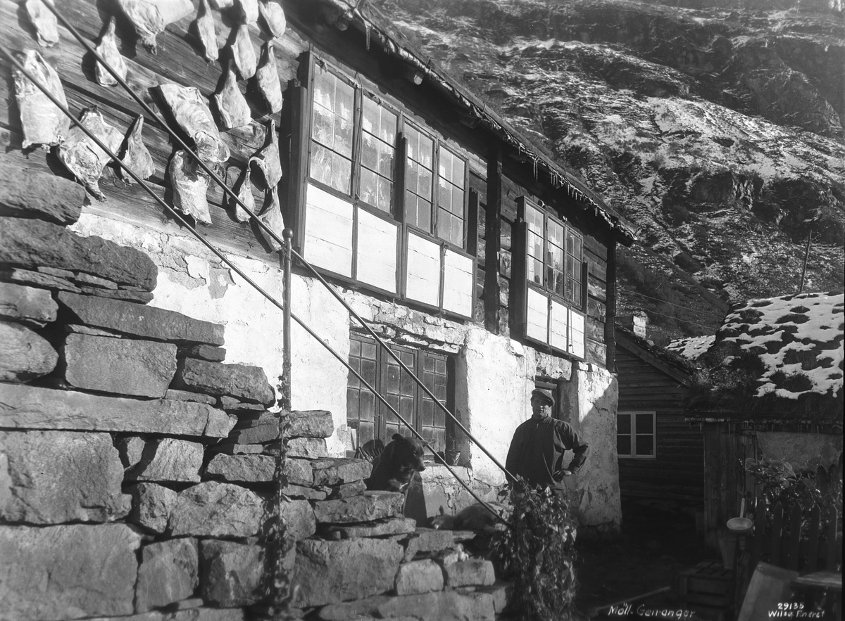 Anders Beer Wilse, Prot: Saueslagtning, Møll