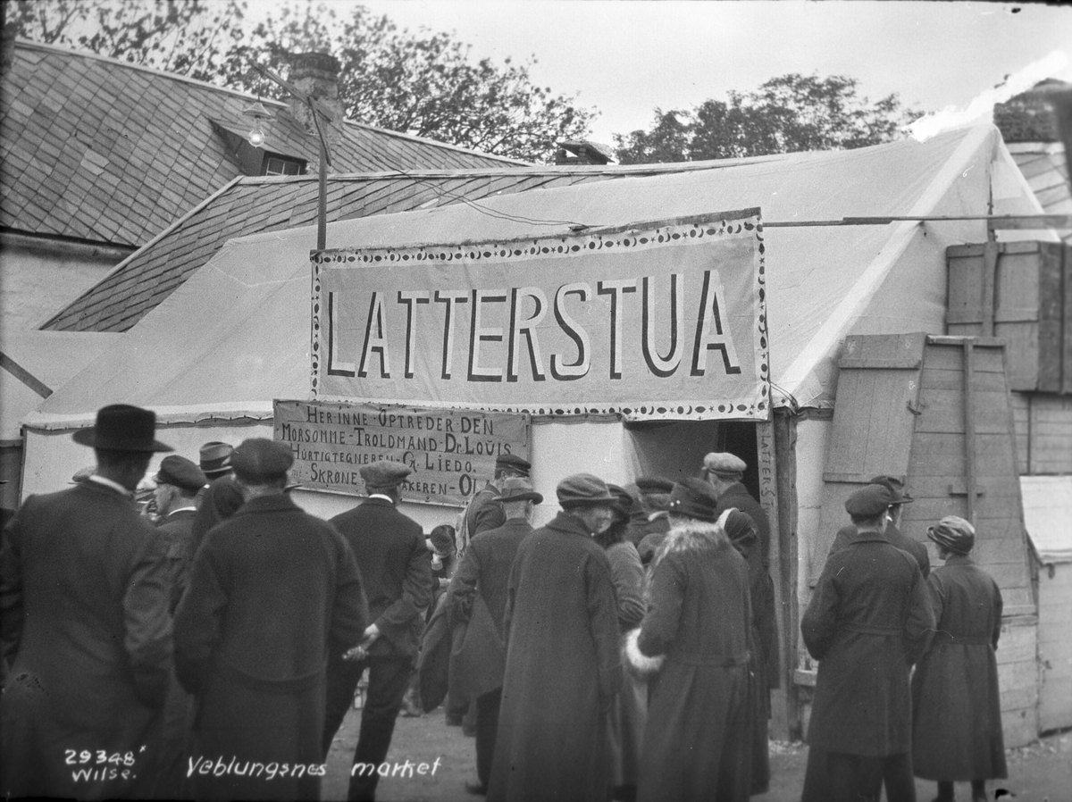Anders Beer Wilse, Prot: Veblungsnes market