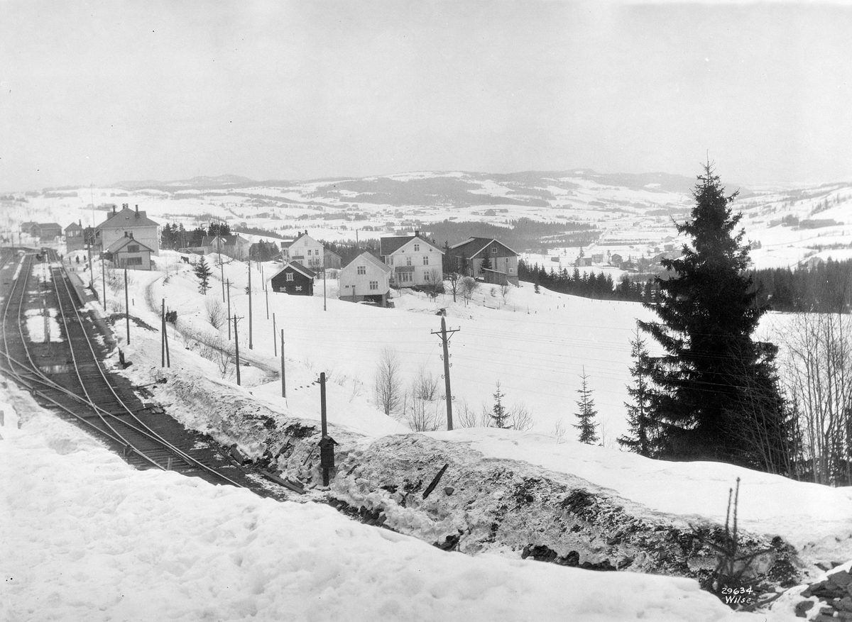 Anders Beer Wilse, Prot: Hadeland, udsigt fra Roa