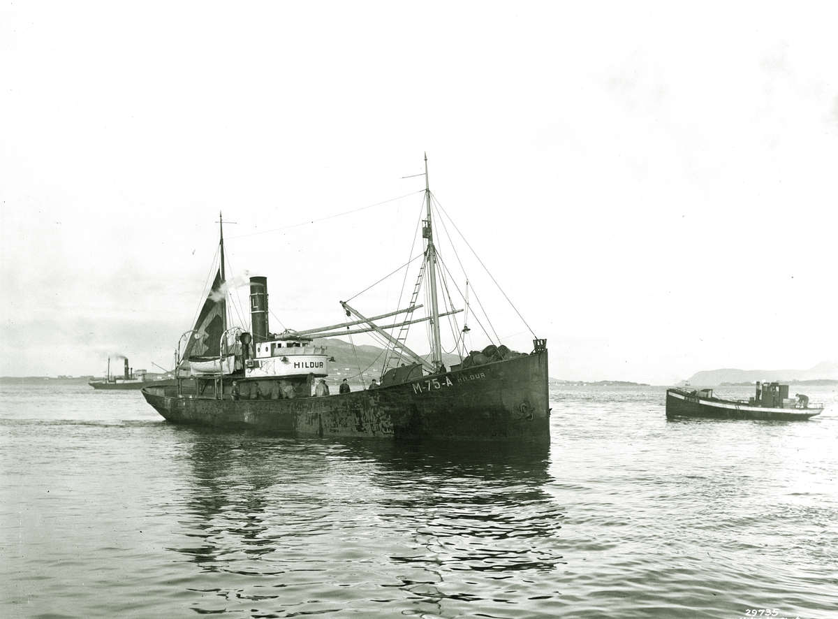 Anders Beer Wilse, Prot: Aalesund, fiskedamper