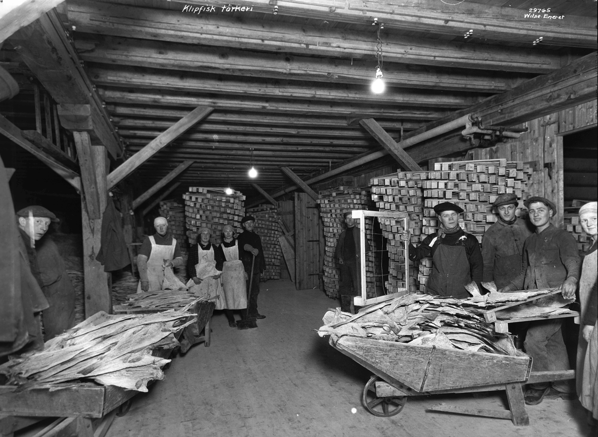 Anders Beer Wilse, Prot: Aalesund, Klippfisk tørkeri
