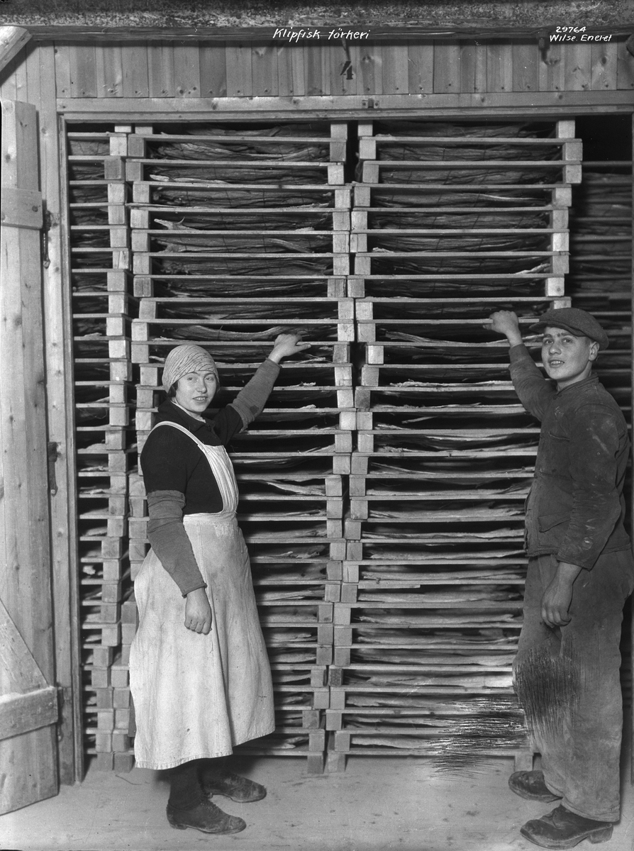 Anders Beer Wilse, Prot: Aalesund, Klippfisk tørkeri