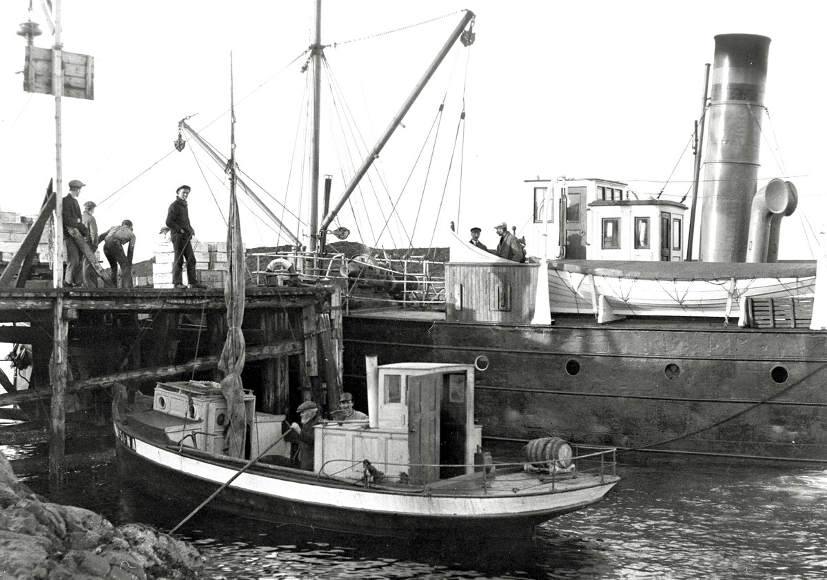 Anders Beer Wilse, "Prot: Aalesunds havn