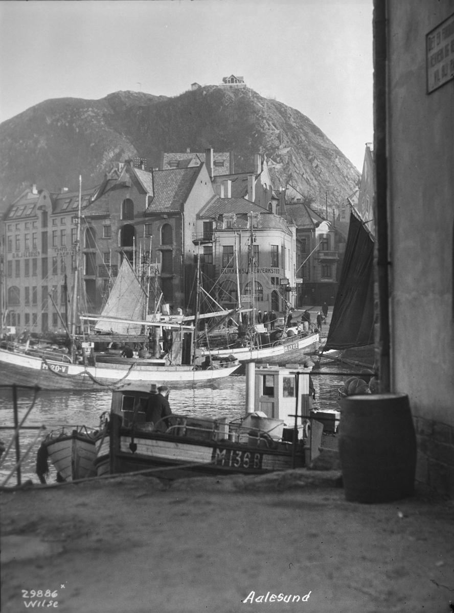 Anders Beer Wilse, Prot: Aalesunds havn