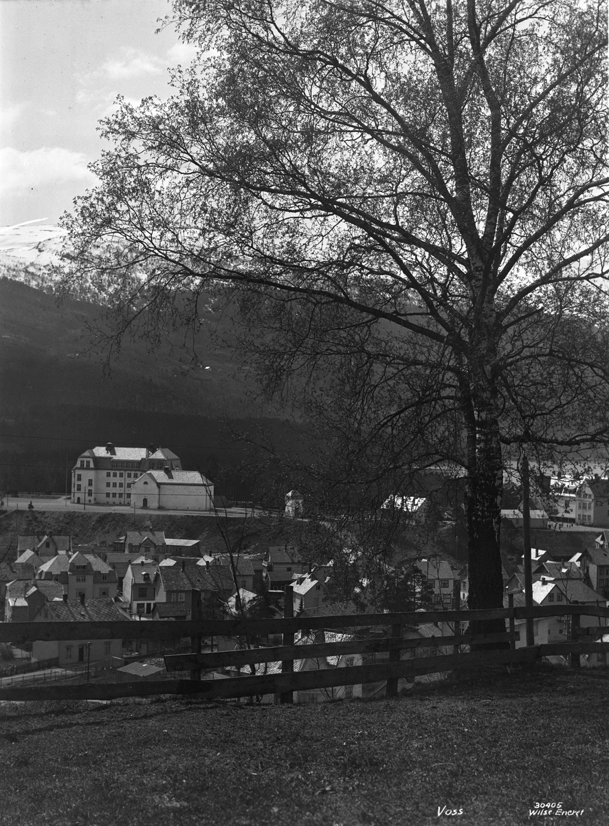 Anders Beer Wilse, Prot: Voss, skolen