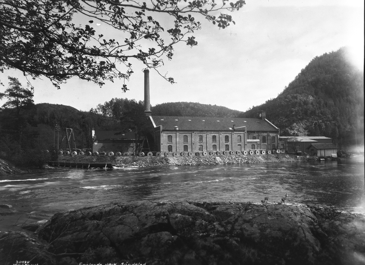 Anders Beer Wilse, Prot: Egelands bruk
