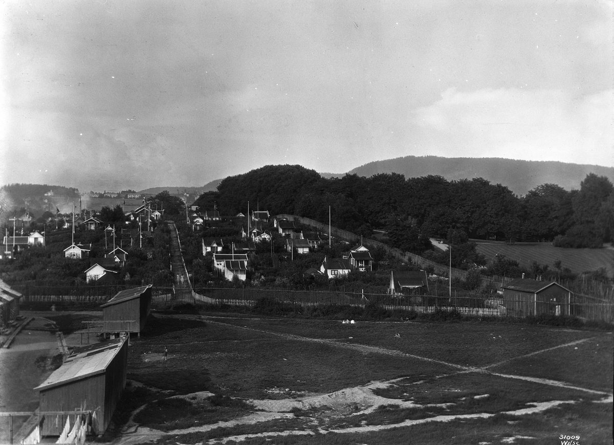 Anders Beer Wilse, Prot: Kolonihave, Hjemmets - panorama