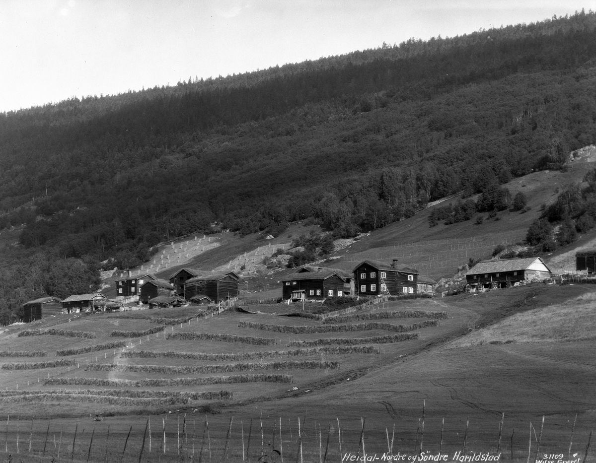 Anders Beer Wilse, Prot: Gudbrandsdal, Heidalen, gaard