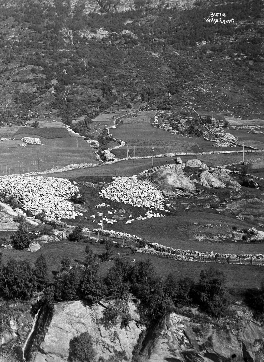 Anders Beer Wilse, Prot: Valdres Skogstad rydning av land