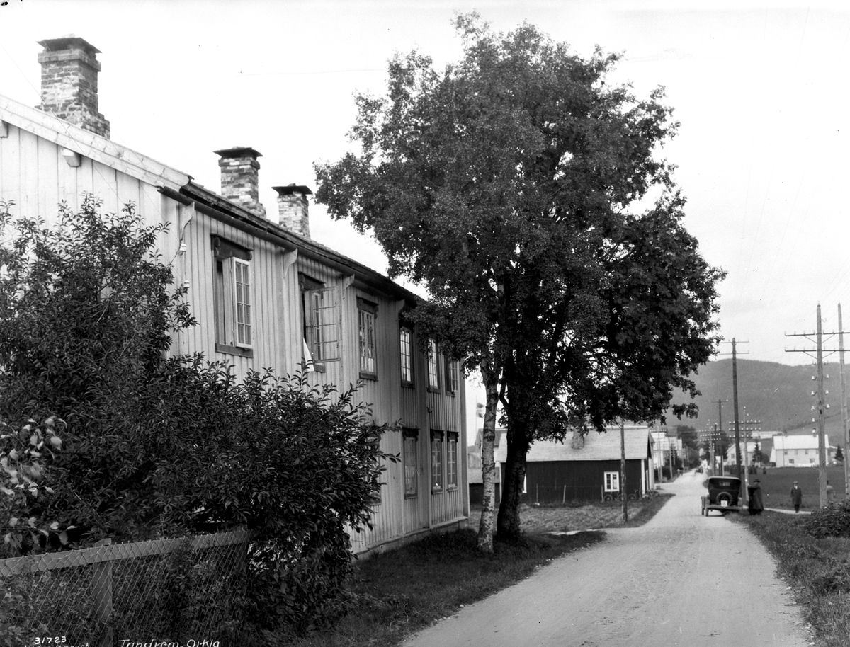 Anders Beer Wilse, Prot: Trøndelag - Veiparti ved Tandrem (feil i protokoll)