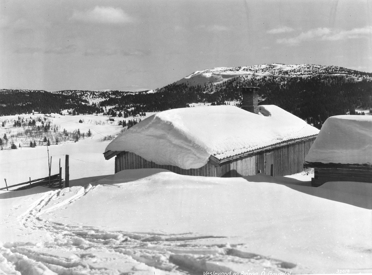 Anders Beer Wilse, Prot: Gausdal Østre. Sæter ved Veslevand Neg: Veslevand og Bjørga. Ø. Gausdal