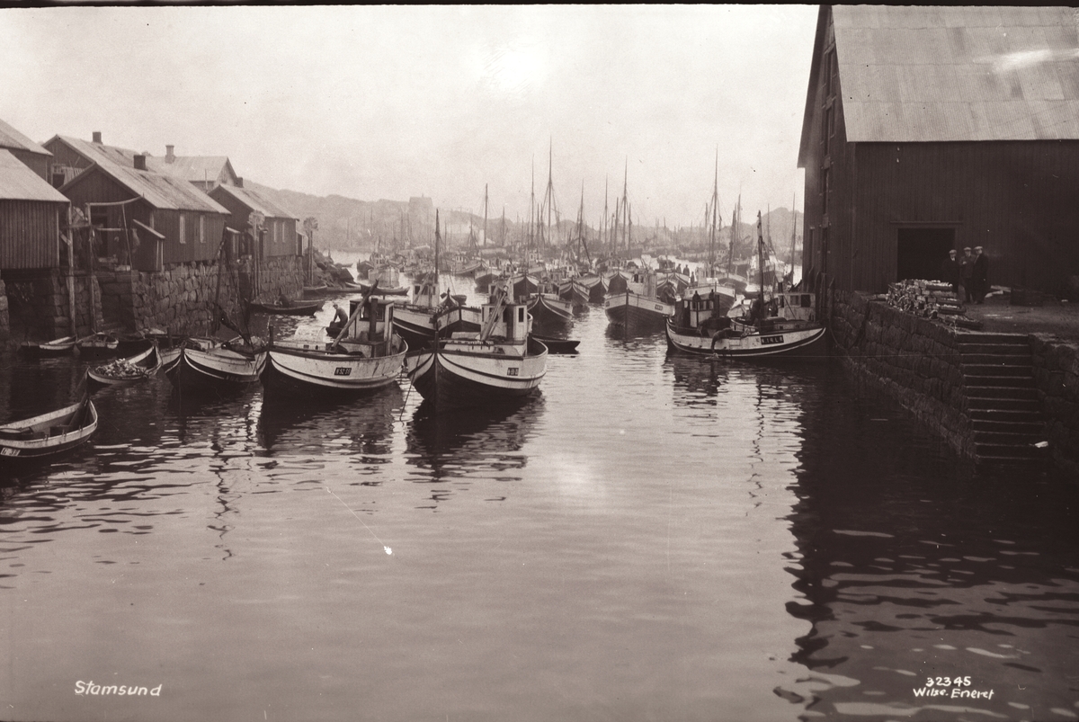 Anders Beer Wilse, Prot: Lofotfiske, Stamsund