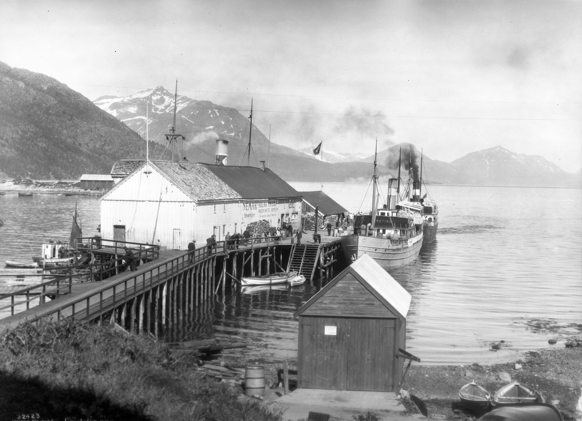Anders Beer Wilse, Prot: Nordland, Lødingen