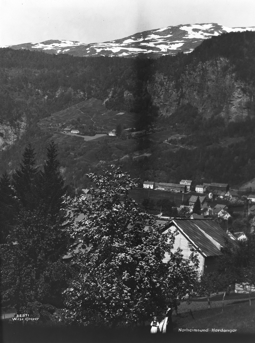 Anders Beer Wilse, Prot: Hardanger - Norheimsund, oversigt