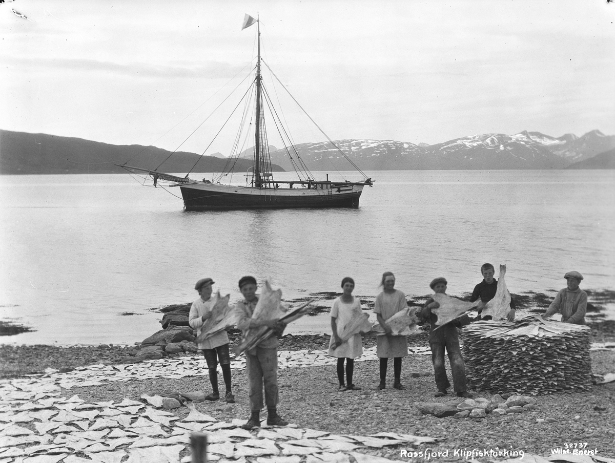 Anders Beer Wilse, "Prot: Nordland - Rogsfjord, klipfisktørking