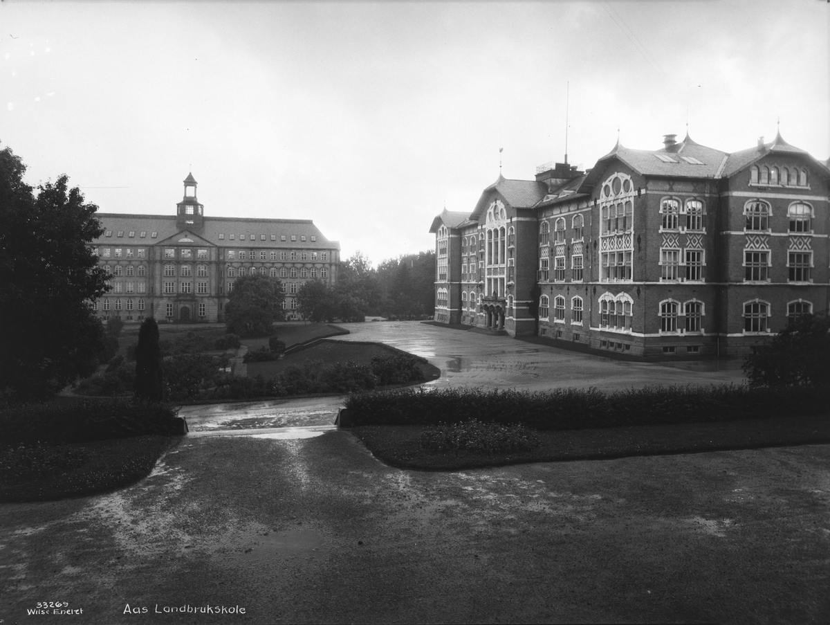 Anders Beer Wilse, Prot: Østfold fylke - Aas landbrukskole
