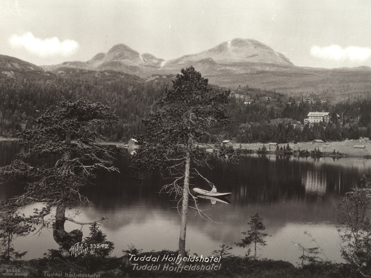Anders Beer Wilse, Prot: Telemark - Tuddal høifjeldshotel