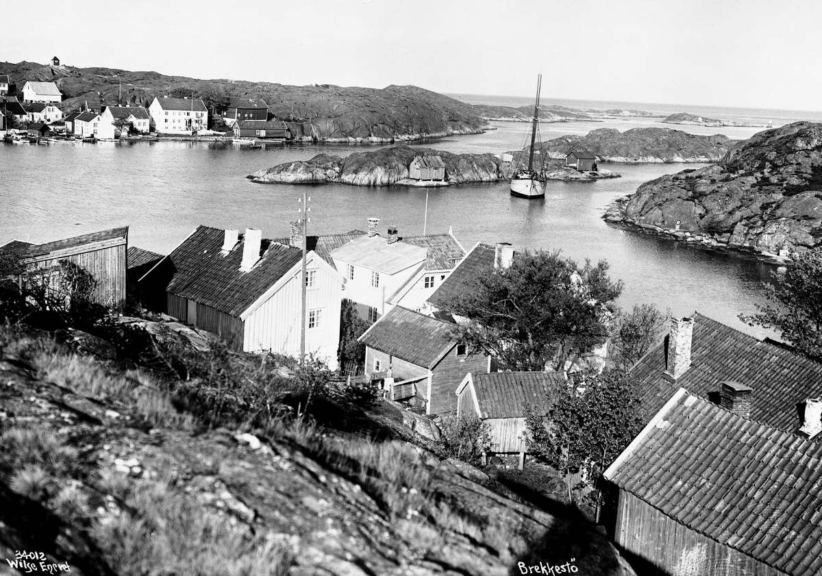 Anders Beer Wilse, Prot: Brekkestø