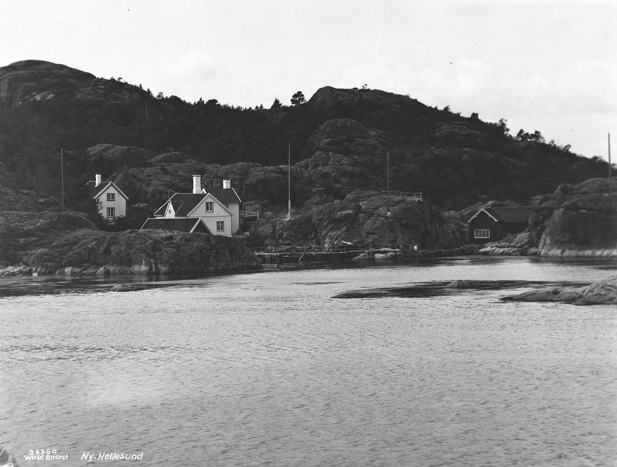 Anders Beer Wilse, Prot: Sørlandet - Ny Hellesund