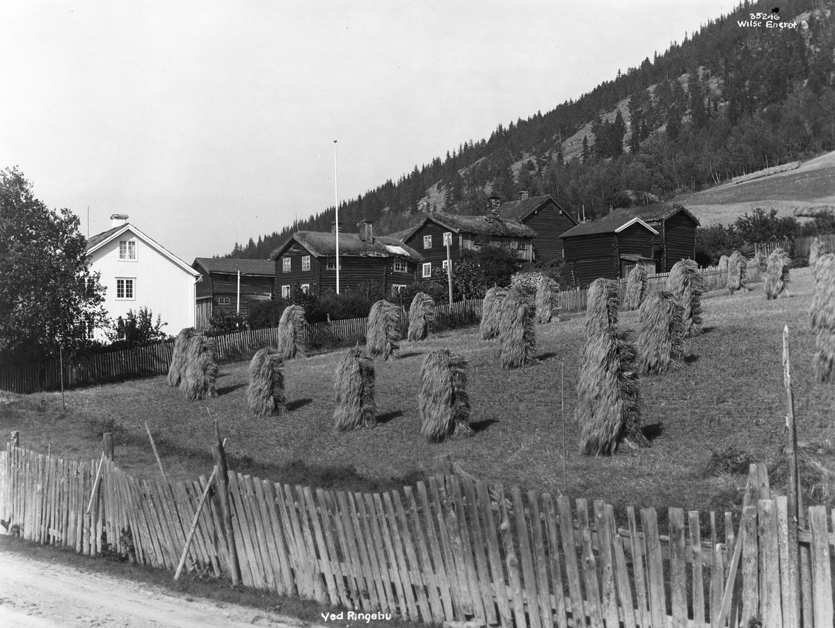 Anders Beer Wilse, Prot: Storgaard nær Hundorp