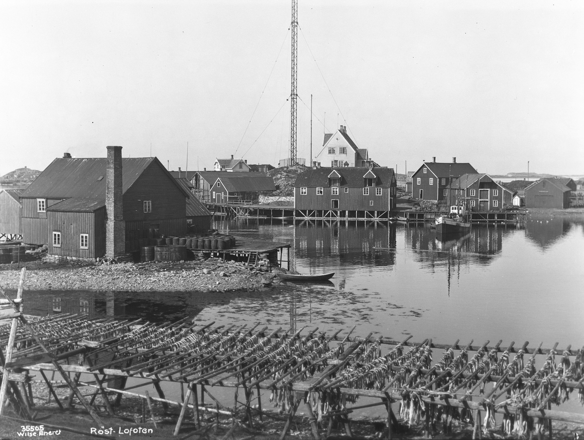 Anders Beer Wilse, "Prot: Røst