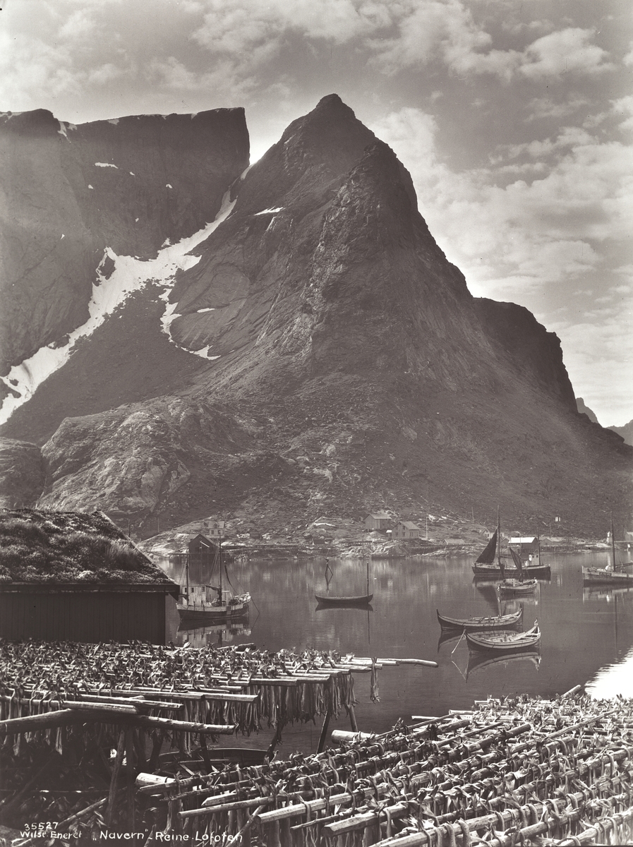 Anders Beer Wilse, Prot: Reine med Navern