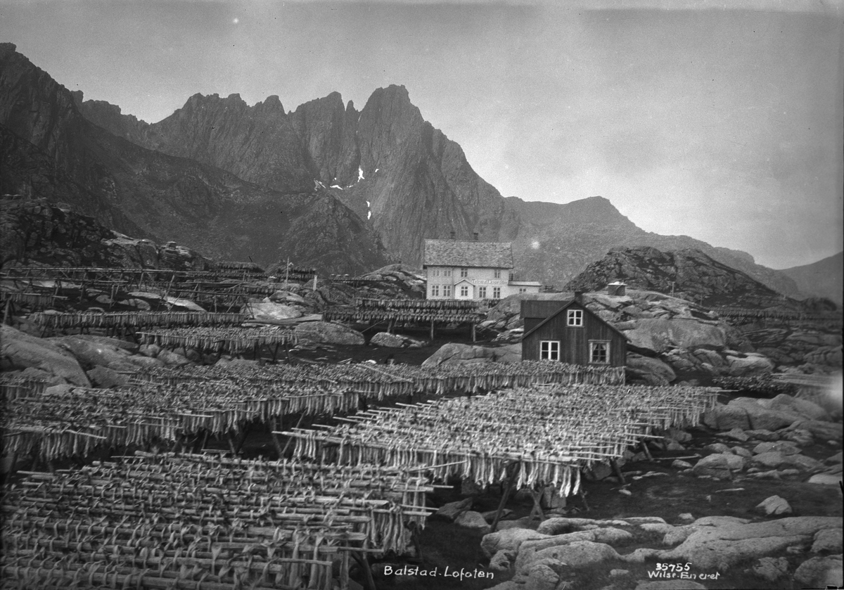 Anders Beer Wilse, Prot: Balstad, hjeller