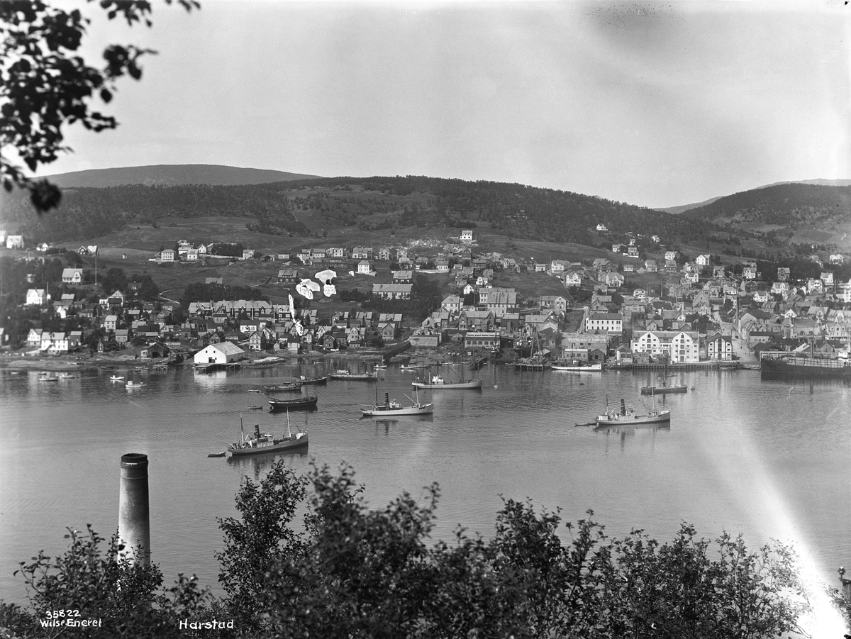 Anders Beer Wilse, Prot: Harstad, panorama