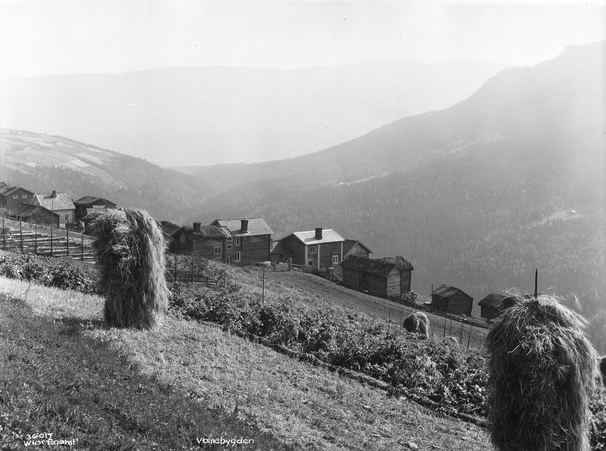 Anders Beer Wilse, Prot: Gudbrandsdal, Vænebygden