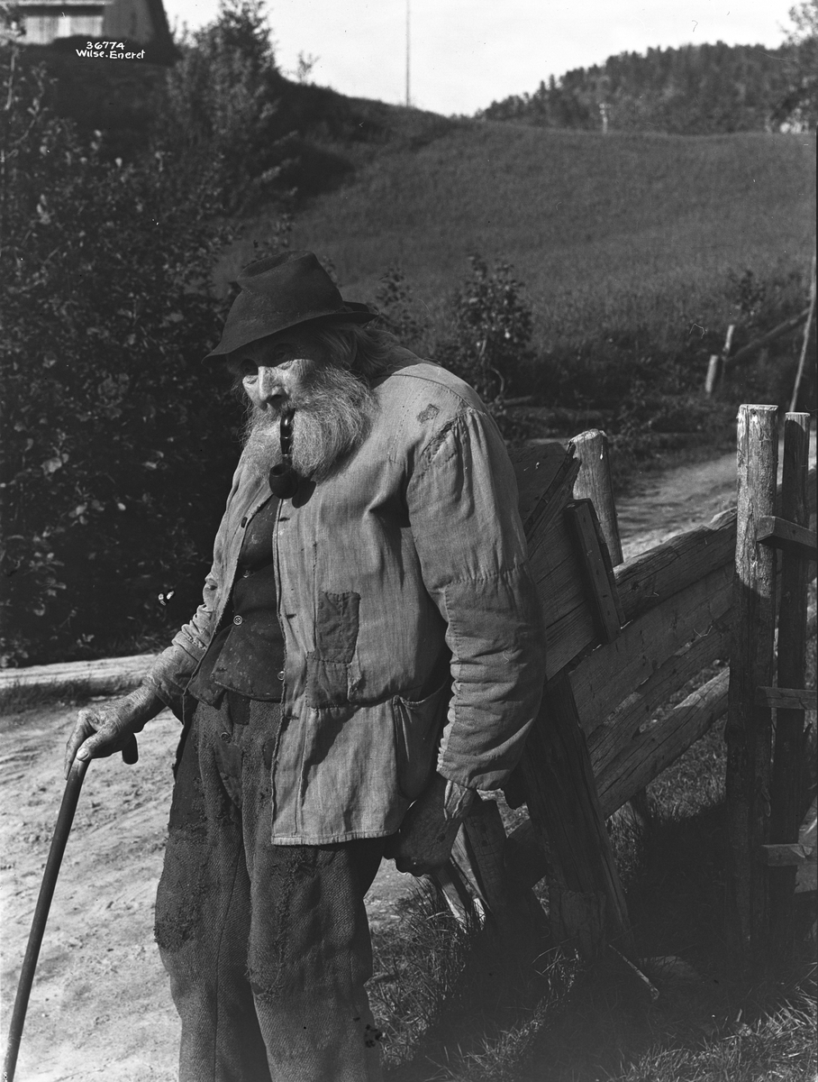 Anders Beer Wilse, Prot: Genre - Gammel mand med pipe, 96 aar