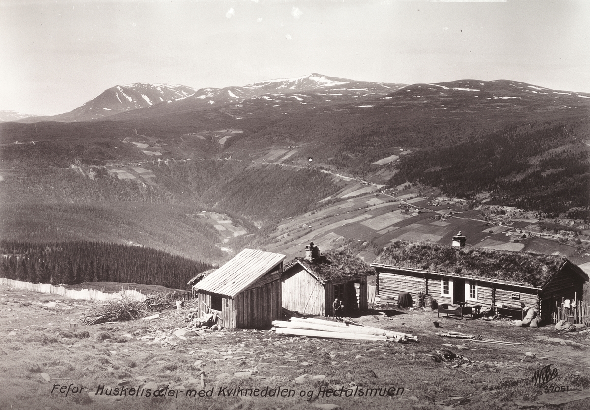 Anders Beer Wilse, Prot: Huskeliæter med Hedalsmuen