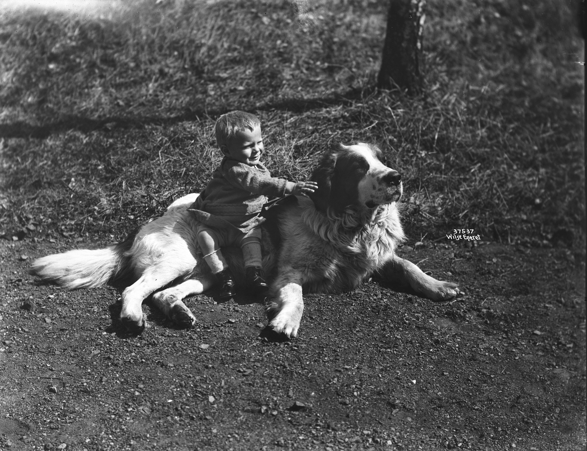 Anders Beer Wilse, Konv: Barn og Hund, for fru Rachler.