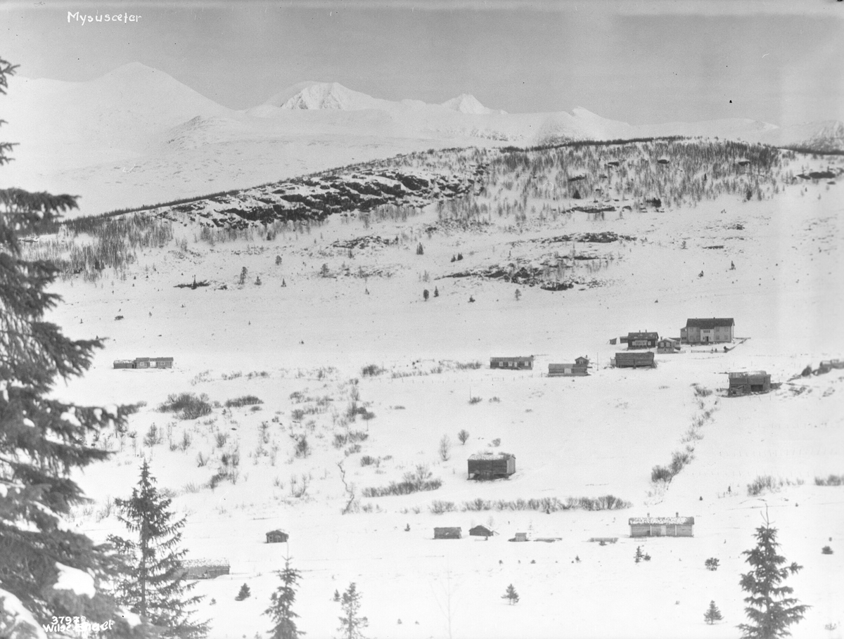 Anders Beer Wilse, Prot: Mysusæter Konv: Mysusæter med Rondane