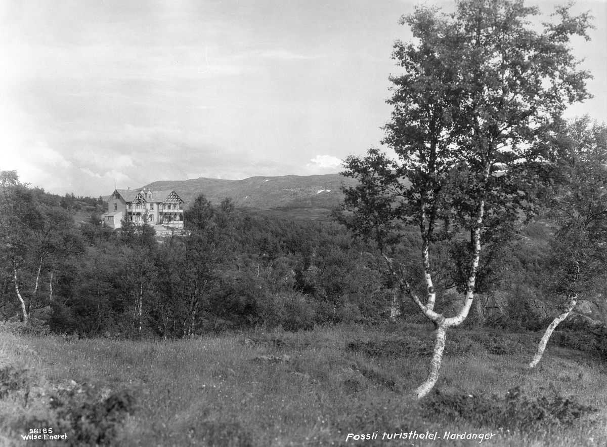Anders Beer Wilse, Prot: Hardanger Maabødalen 3/7 Konv: Maabødal Fosli hotel