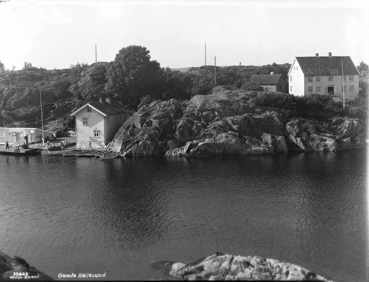 Anders Beer Wilse, Prot: Hellesund gamle