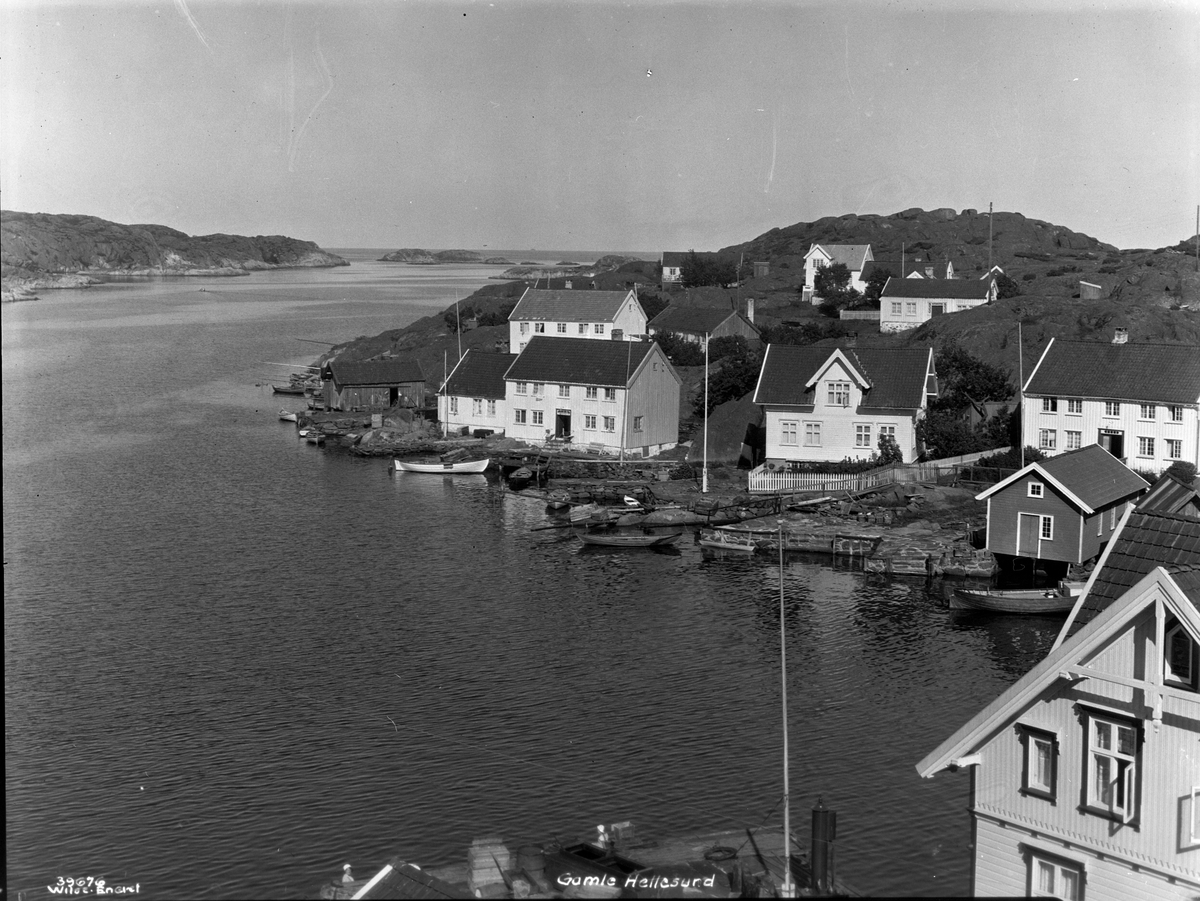 Anders Beer Wilse, Prot: Hellesund gamle