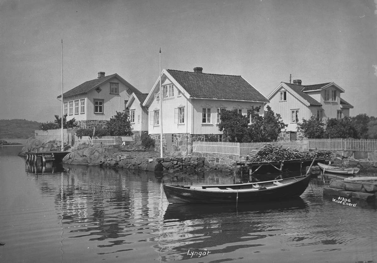 Anders Beer Wilse, Prot: Lyngør