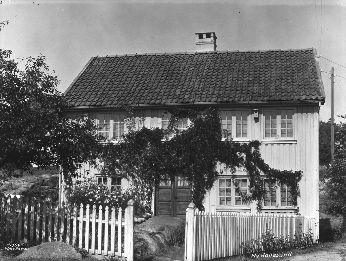 Anders Beer Wilse, Prot: Ny Hellesund gammelt hus