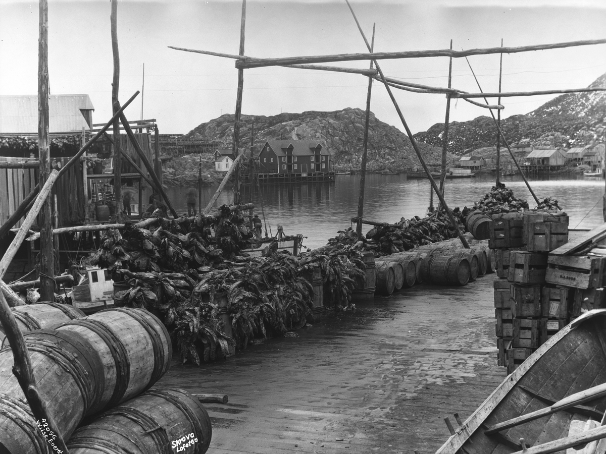 Anders Beer Wilse, Prot: Lofoten, Skrova