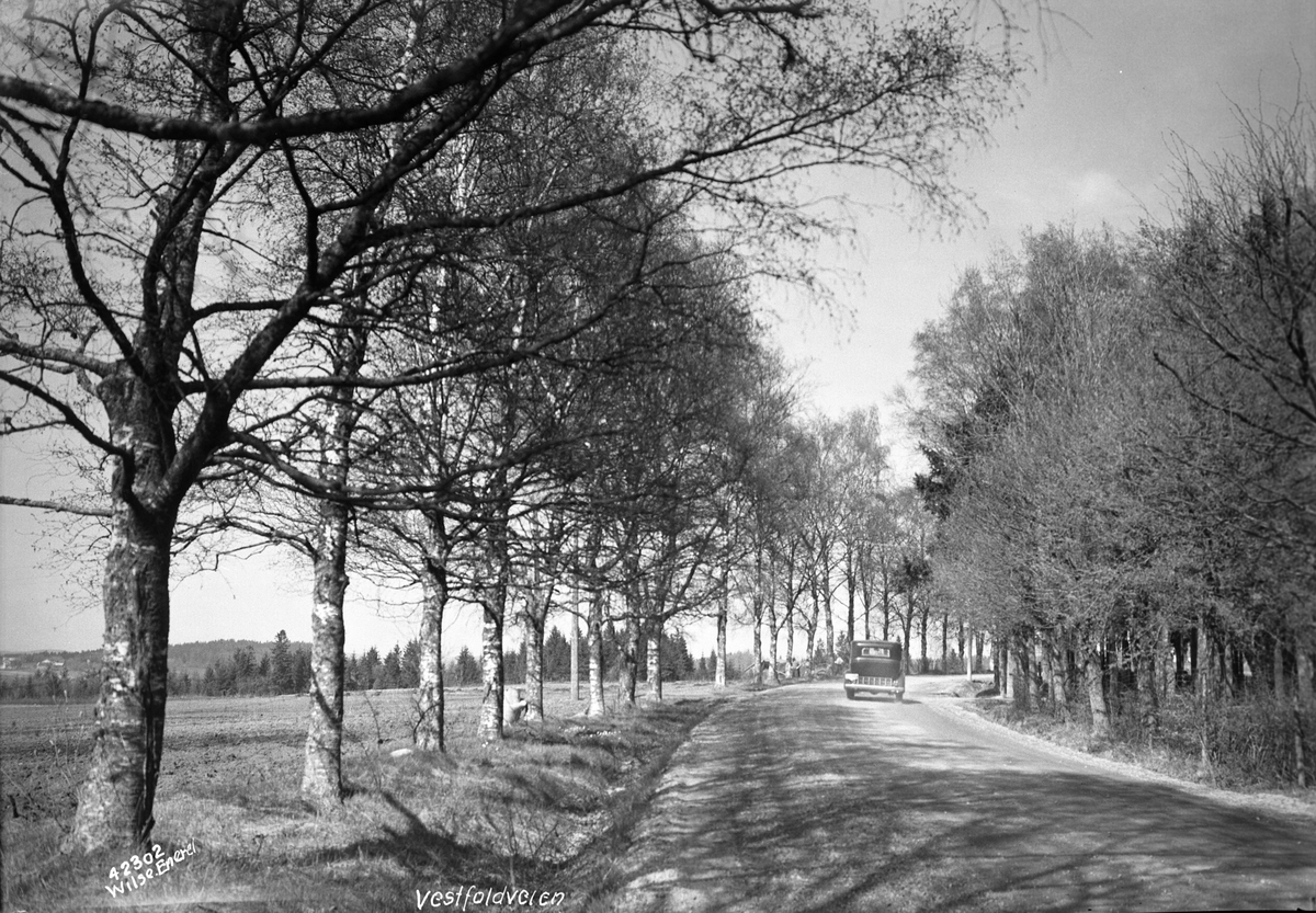 Anders Beer Wilse, Prot: Sandefjord Vestfoldveien