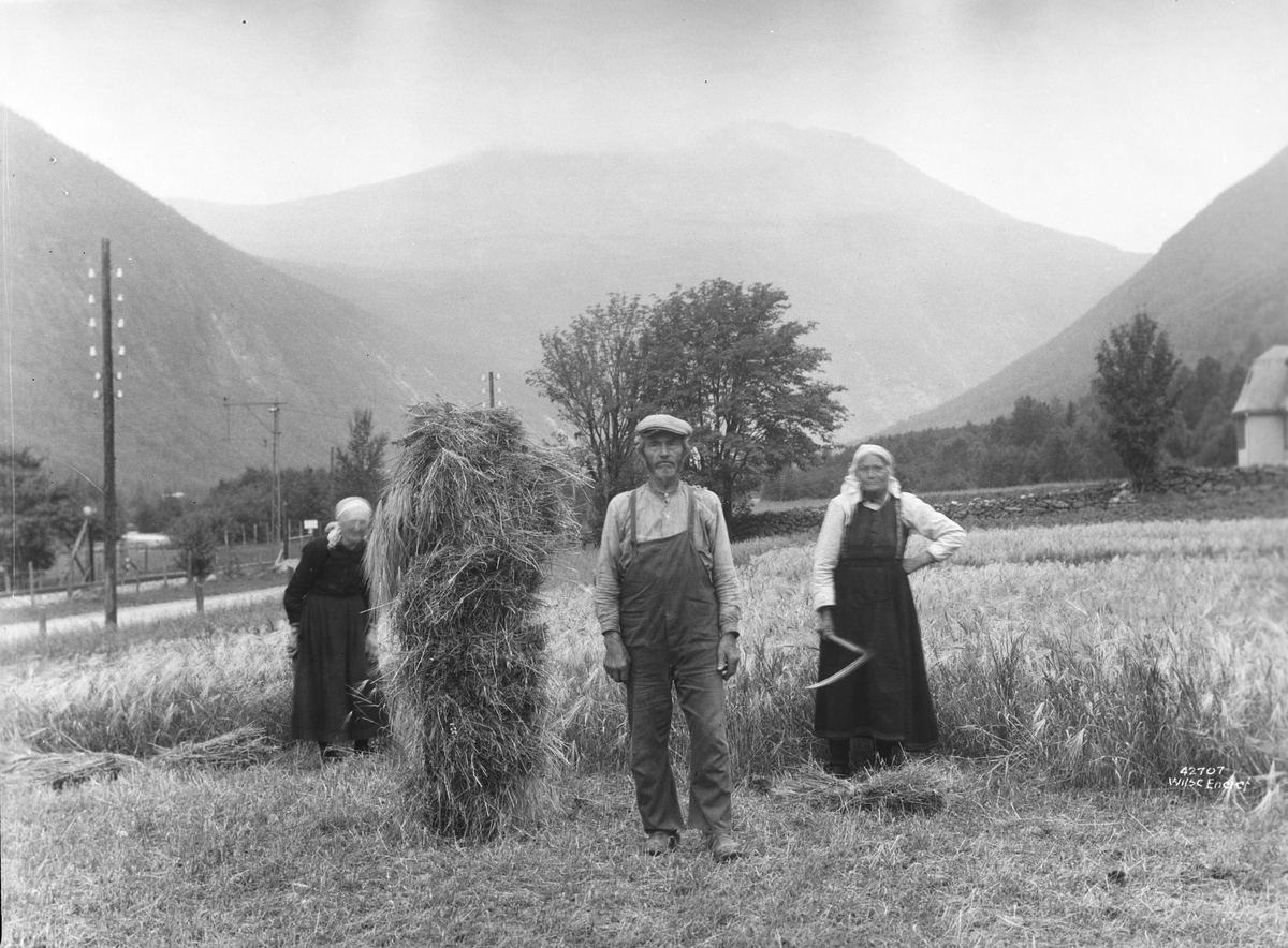Anders Beer Wilse, Prot: Kornet slaaes Vestfjorddal