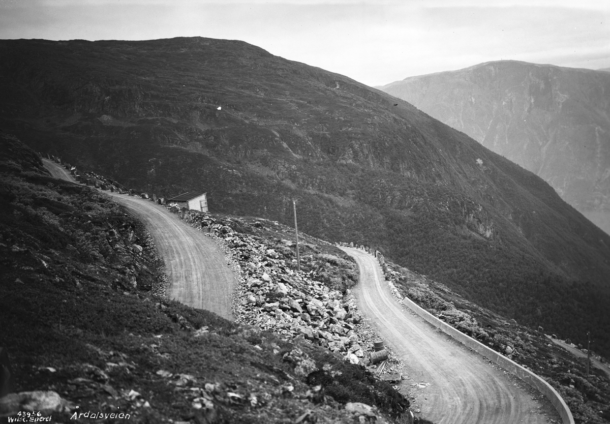 Anders Beer Wilse, Prot: Aardalsveien