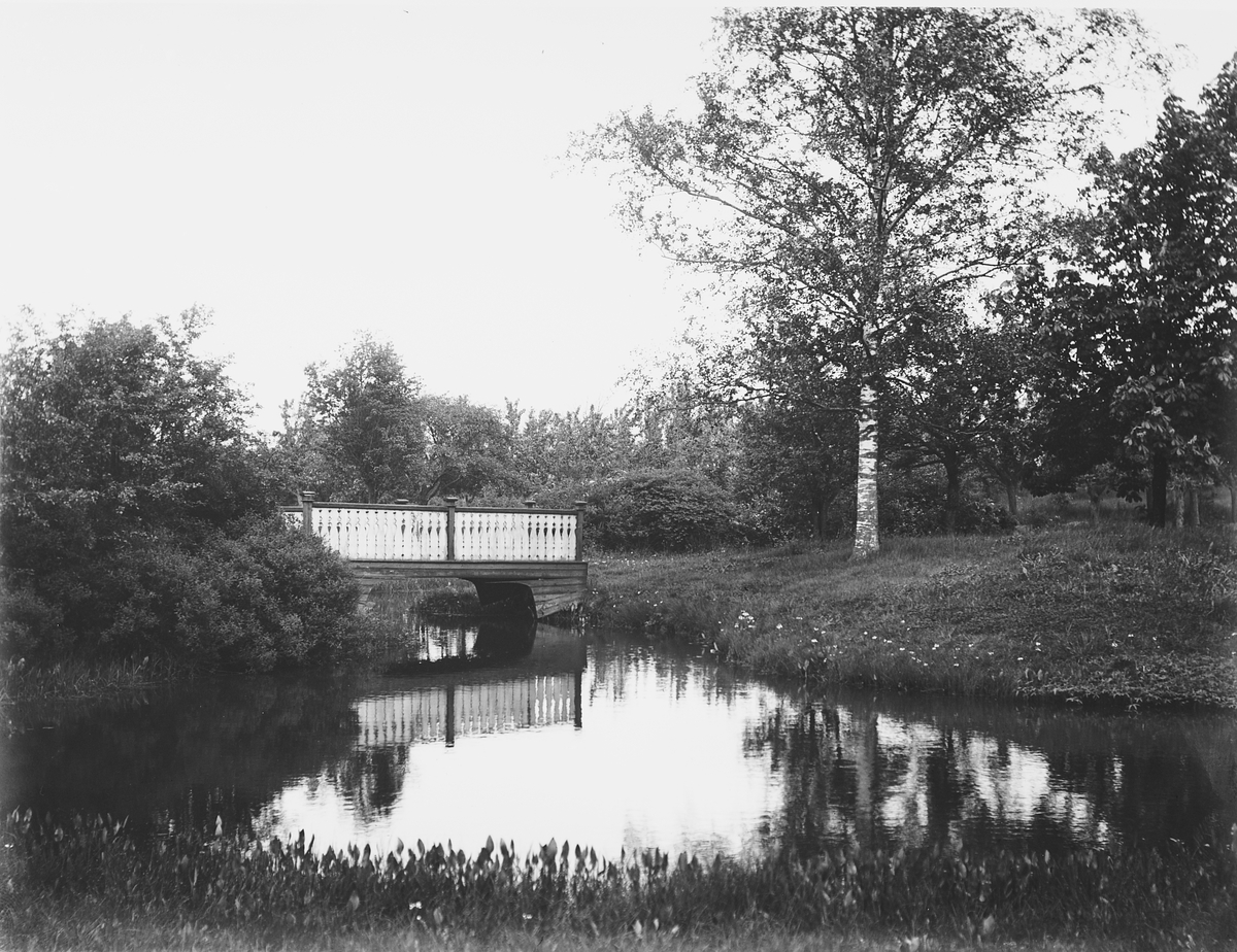 Anders Beer Wilse, Prot: Höienhall Have