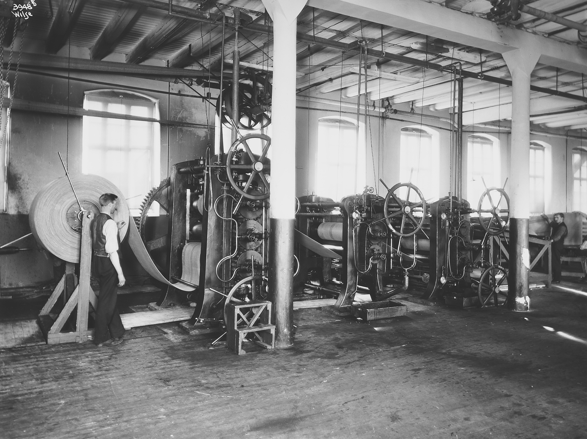 Anders Beer Wilse, Prot: Viking Remfabrik