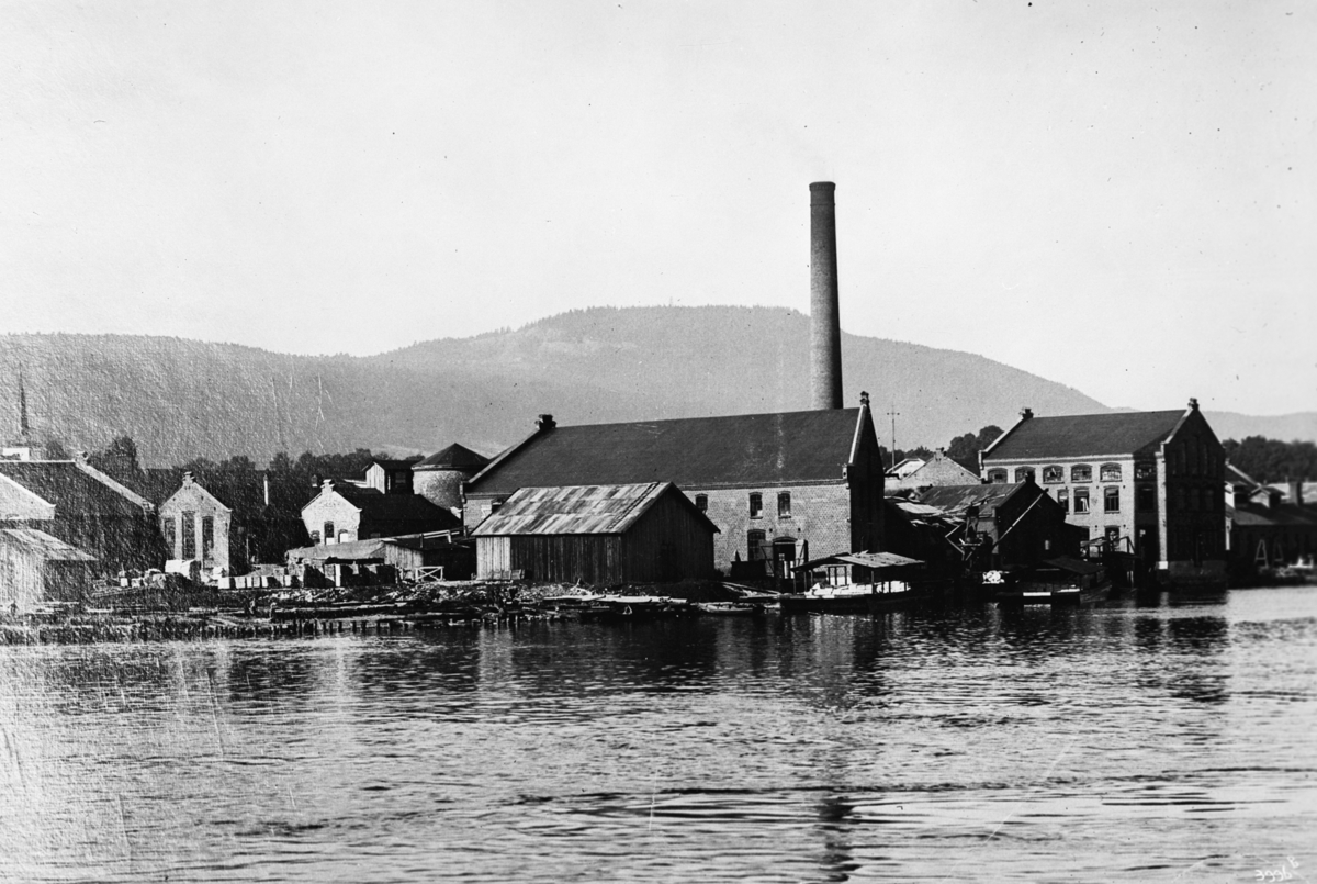 Anders Beer Wilse, Prot:Norske Papirfabriker Drammen Paper Mill A/S