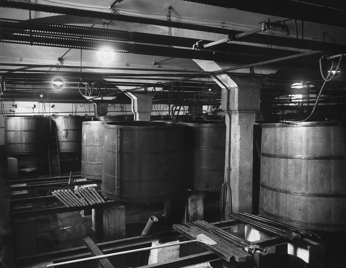 Anders Beer Wilse, Prot: Aktrebryggeriet